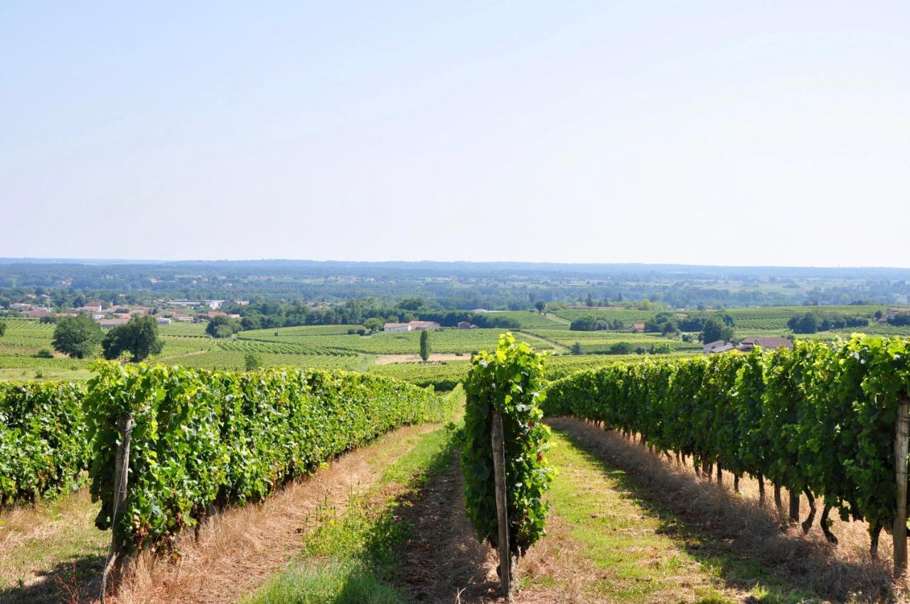 Clos Saint Sauveur - Guesthouse Au Coeur Des Vignes Sur Le Coteau Экстерьер фото