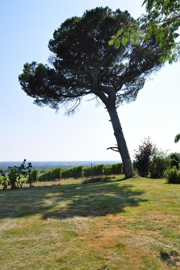 Clos Saint Sauveur - Guesthouse Au Coeur Des Vignes Sur Le Coteau Экстерьер фото